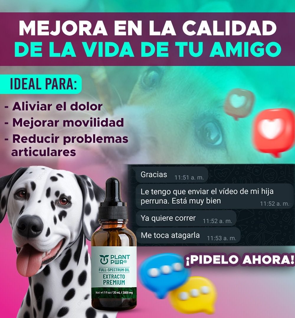 PLANPWR-testi-10.jpg