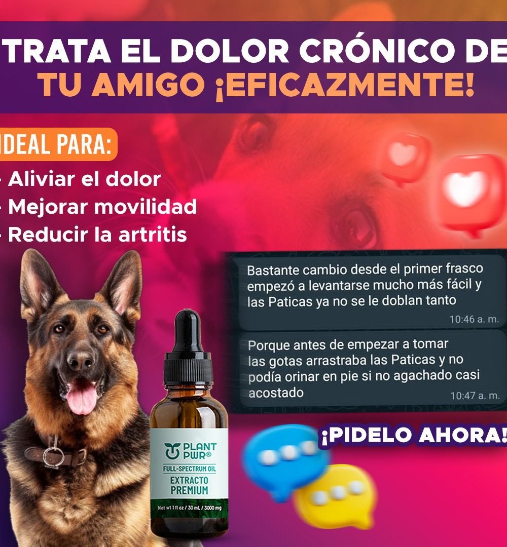 PLANPWR-testi-8.jpg